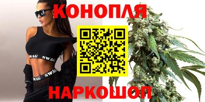 сатива Малгобек