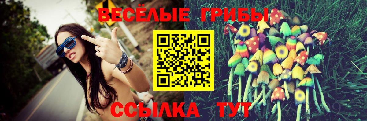 Каспийск  купить   Вход с VPN  Псилоцибиновые грибы прущие грибы  Галлюциногенные грибы ЛСД 